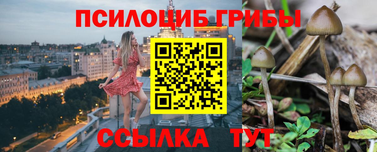 Псилоцибиновые грибы мухоморы  Вход с VPN  Орехово-Зуево 
